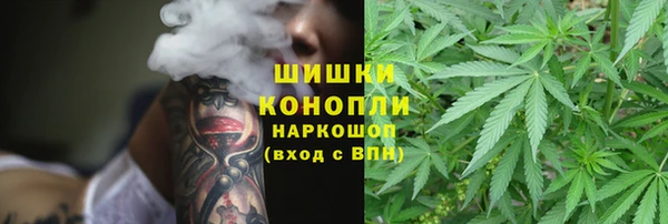 ECSTASY Балахна