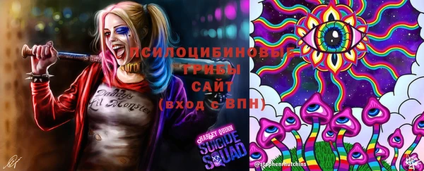 ECSTASY Балахна